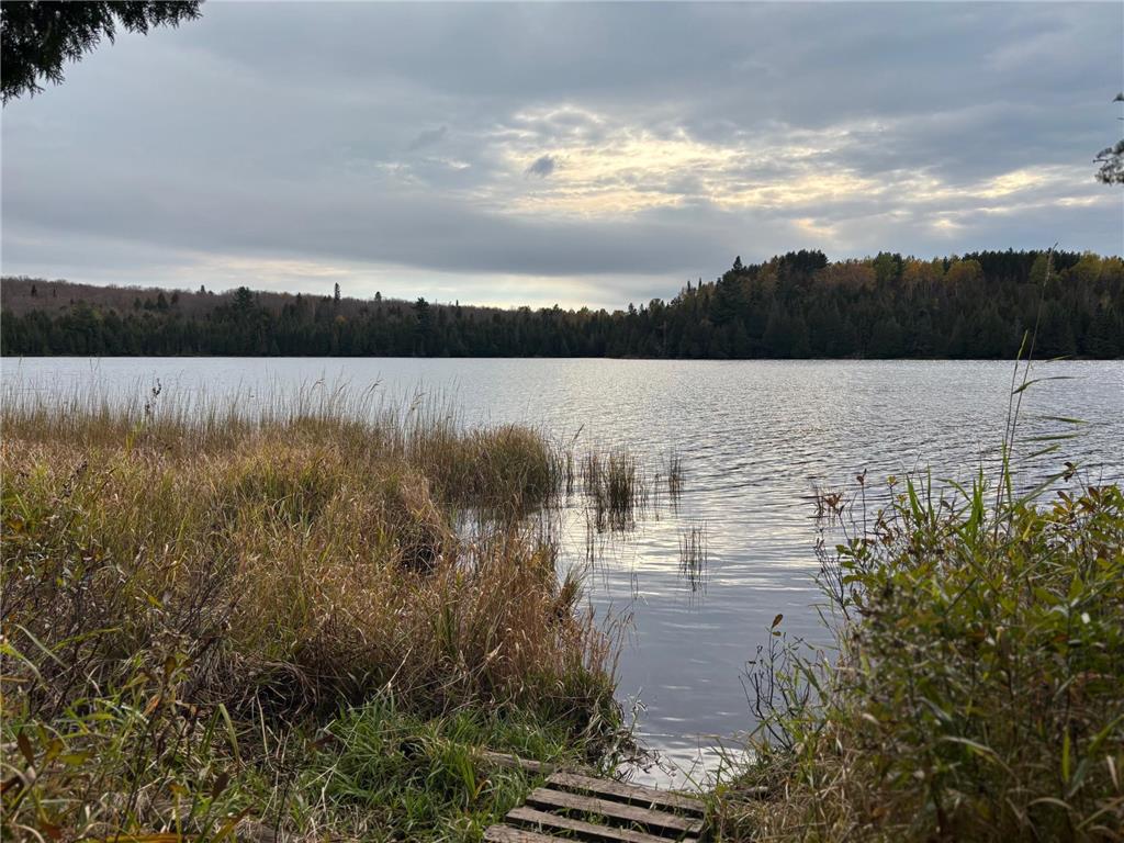 xx W Deeryard Lake Rd Lutsen Twp MN 55612 - Deer Yard 6802526 image11