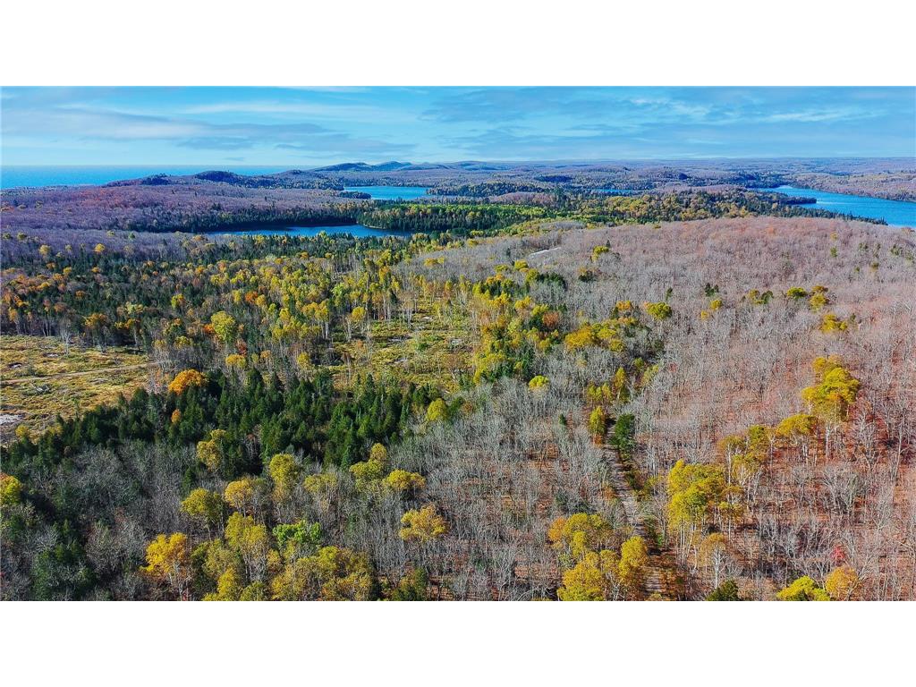 xx W Deeryard Lake Rd Lutsen Twp MN 55612 - Deer Yard 6802526 image4