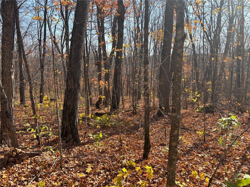 xx W Deeryard Lake Rd Lutsen Twp MN 55612 - Deer Yard 6802526 image6