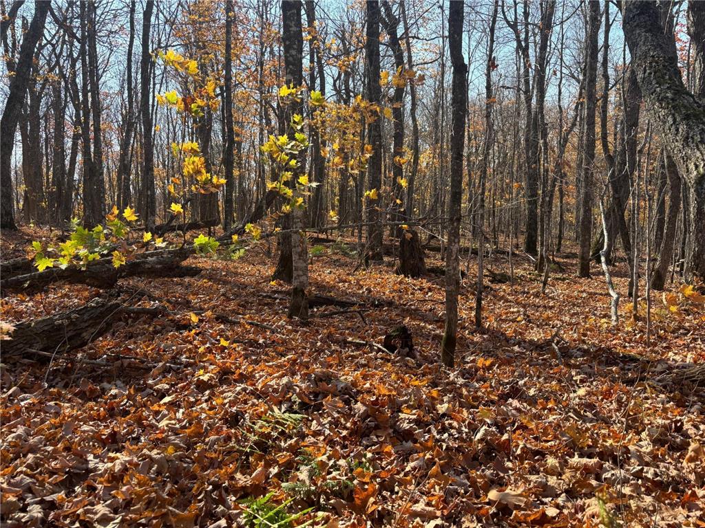 xx W Deeryard Lake Rd Lutsen Twp MN 55612 - Deer Yard 6802526 image7