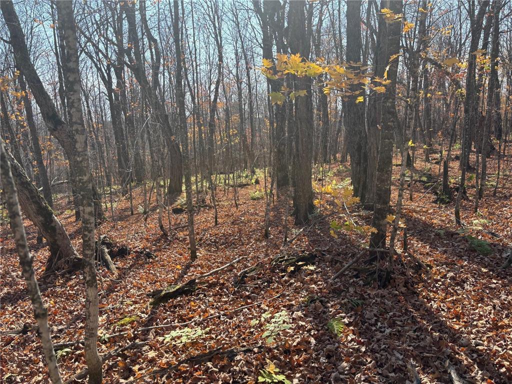 xx W Deeryard Lake Rd Lutsen Twp MN 55612 - Deer Yard 6802526 image8