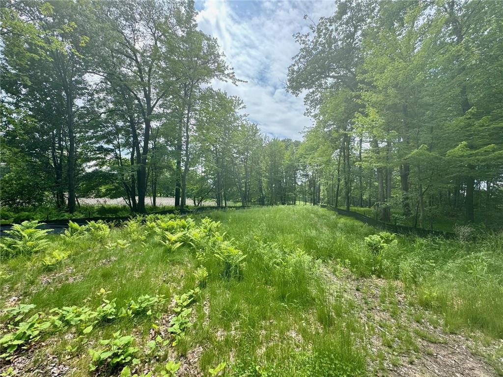 110 177th Avenue NE Ham Lake MN 55304 6743655 image1