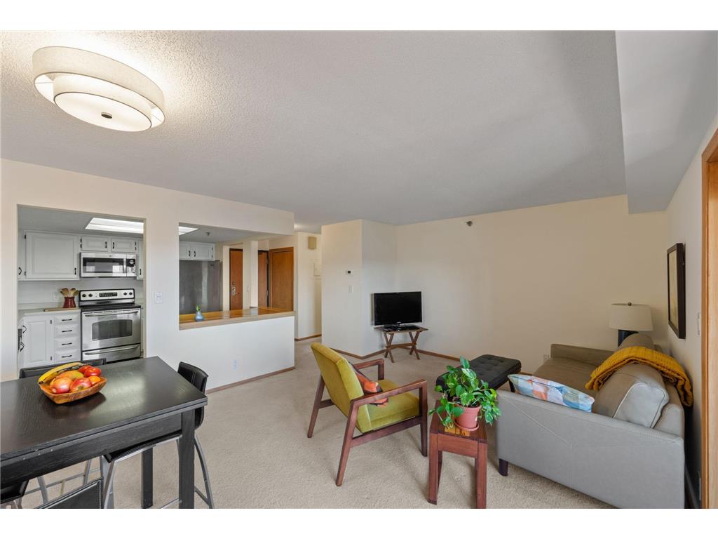 110 1st Avenue NE #F1502 Minneapolis MN 55413 - Mississippi 7037381 image10