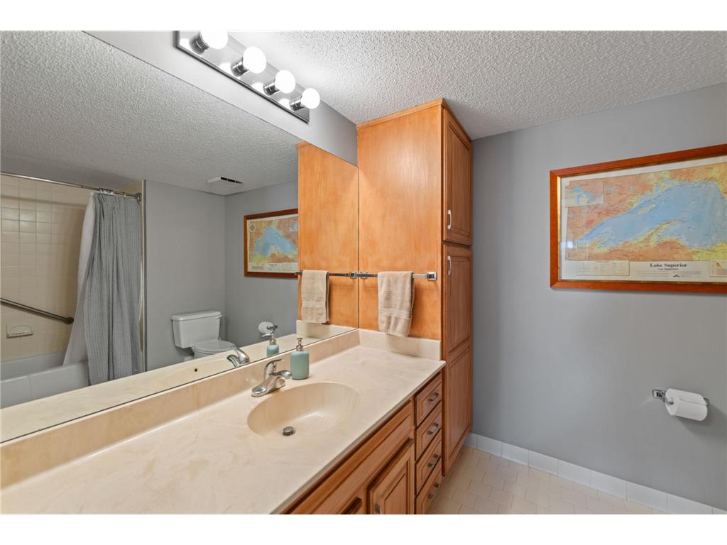 110 1st Avenue NE #F1502 Minneapolis MN 55413 - Mississippi 7037381 image13