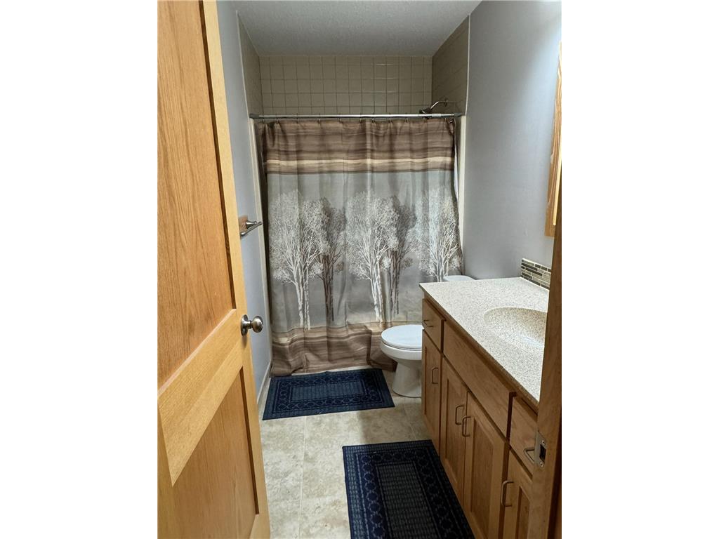 110 236th Lane NE Bethel MN 55005 7076450 image18