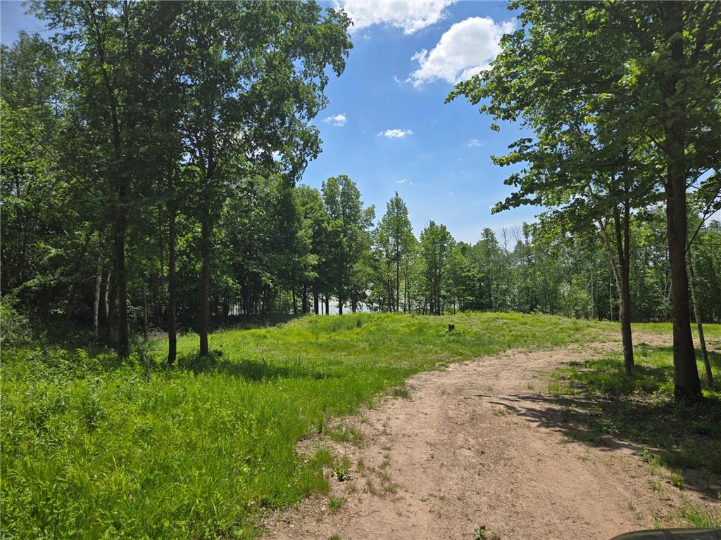 110 90th Avenue Clayton WI 54004 - Camelia Lake 7060390 image1