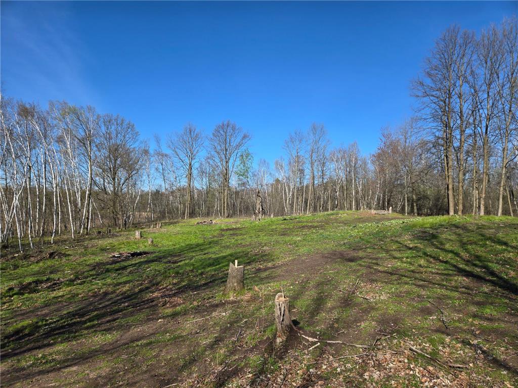 110 90th Avenue Clayton WI 54004 - Camelia Lake 7060390 image19