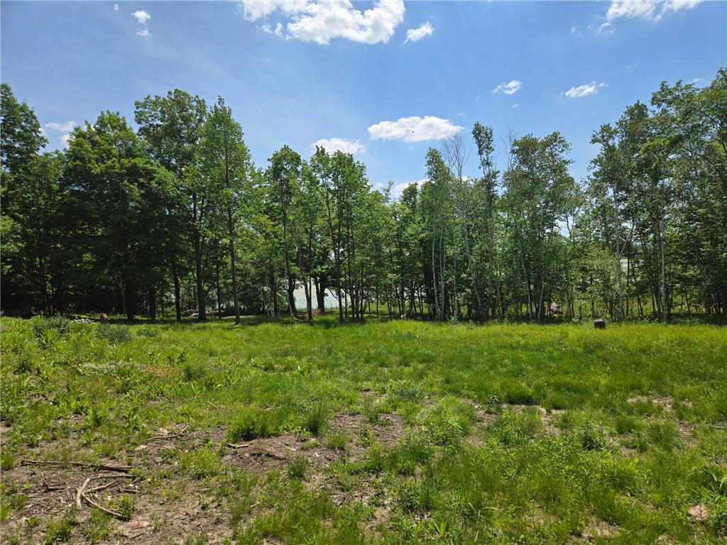 110 90th Avenue Clayton WI 54004 - Camelia Lake 7060390 image3