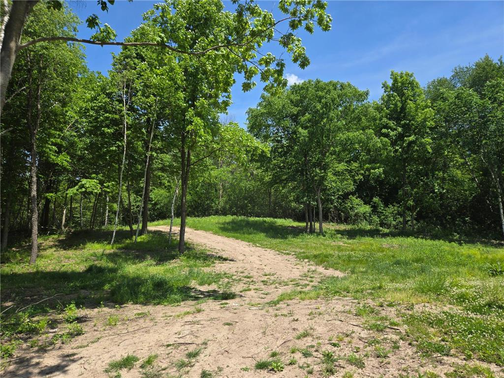 110 90th Avenue Clayton WI 54004 - Camelia Lake 7060390 image4