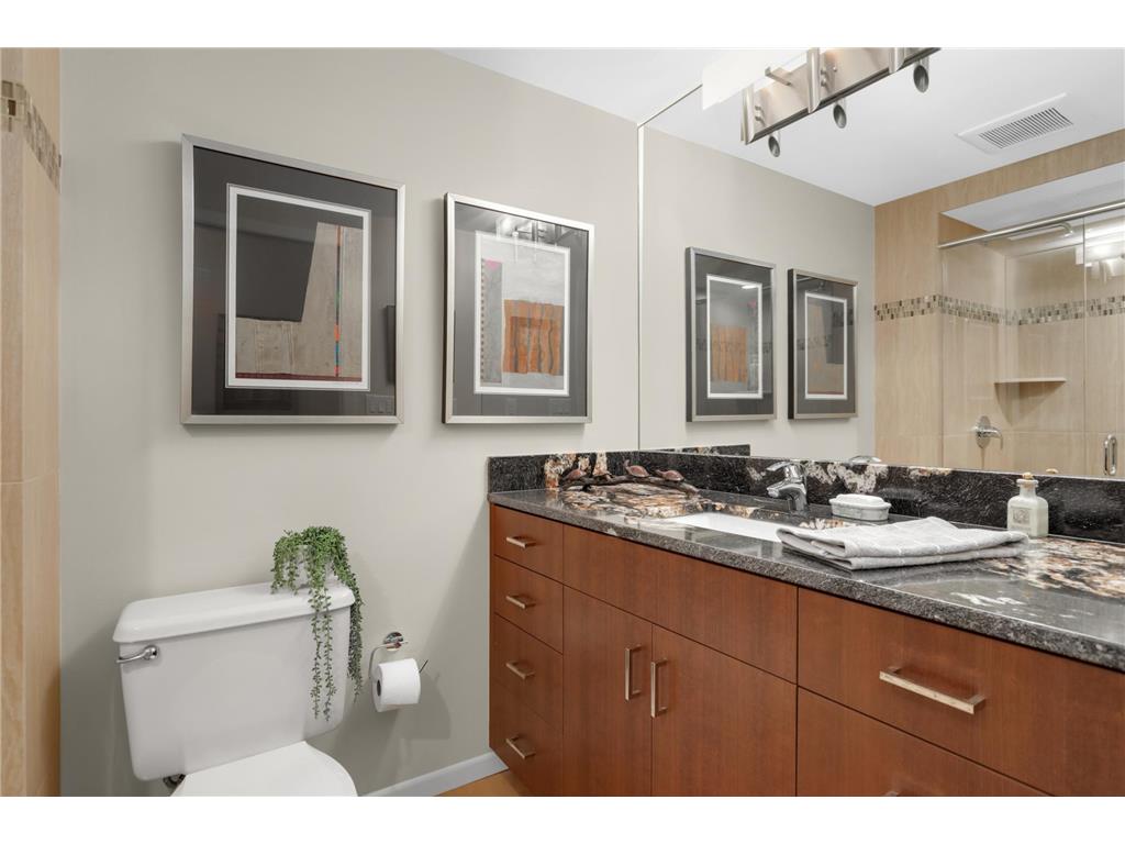 110 Bank Street SE #L1203 Minneapolis MN 55414 - Mississippi 7049549 image17