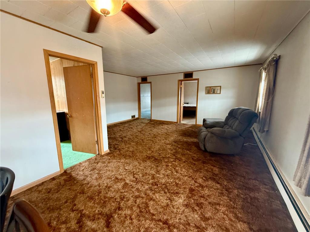 110 Main Street N Bird Island MN 55310 7101430 image42