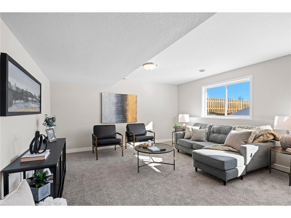 110 Maple Court Cannon Falls MN 55009 6751749 image30