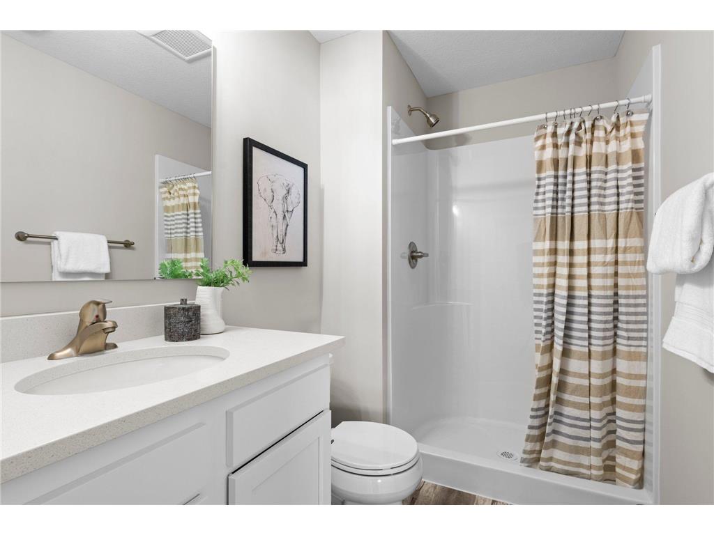 110 Maple Court Cannon Falls MN 55009 6751749 image37