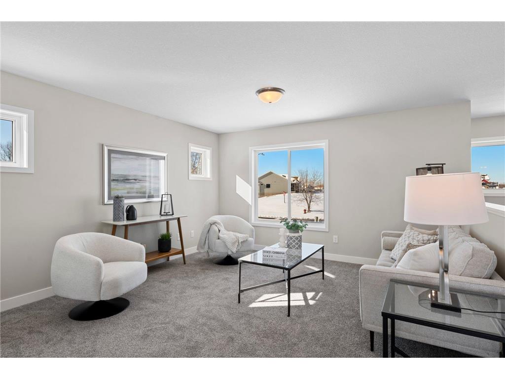 110 Maple Court Cannon Falls MN 55009 6751749 image6