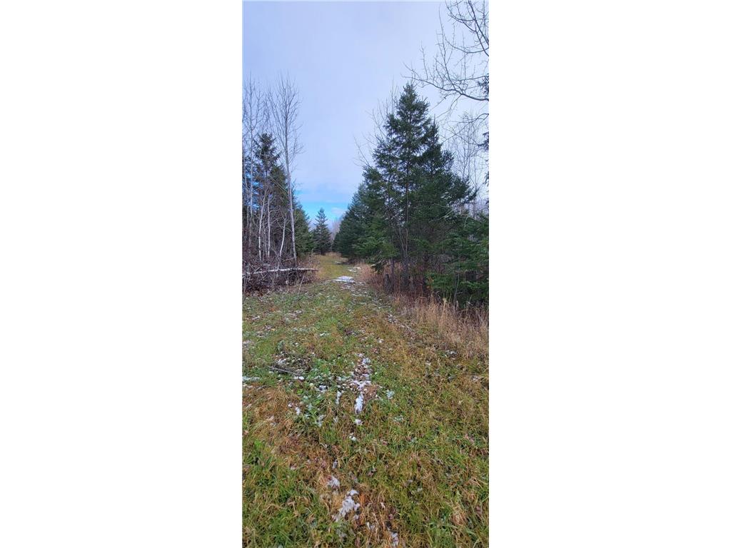 110 NW State Highway 1 Effie MN 56639 6818038 image19