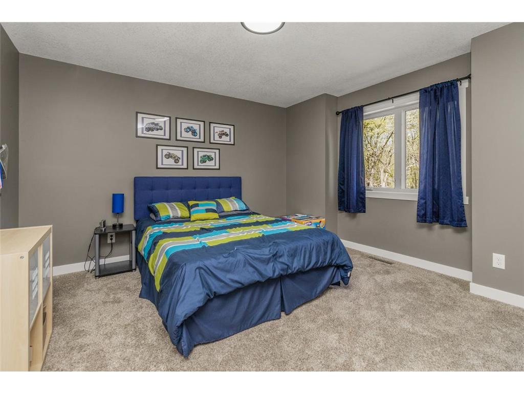 1100 Lonsdale Boulevard W Webster Twp MN 55057 7046560 image33