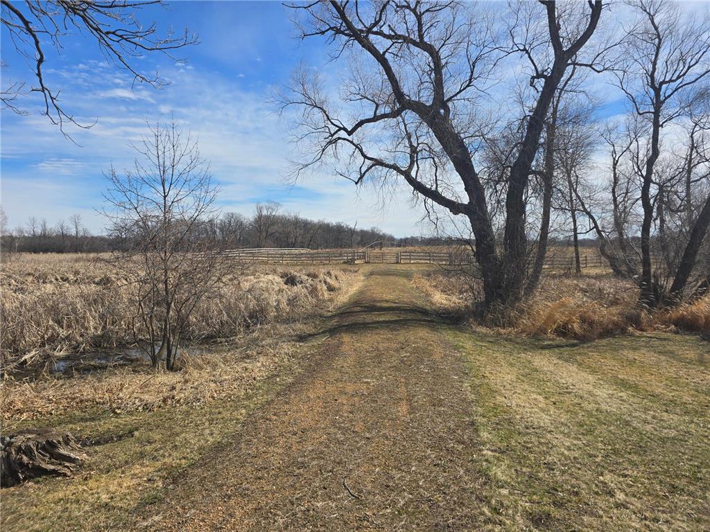 1100 Old Crystal Bay Road Orono MN 55391 - French 7037460 image14