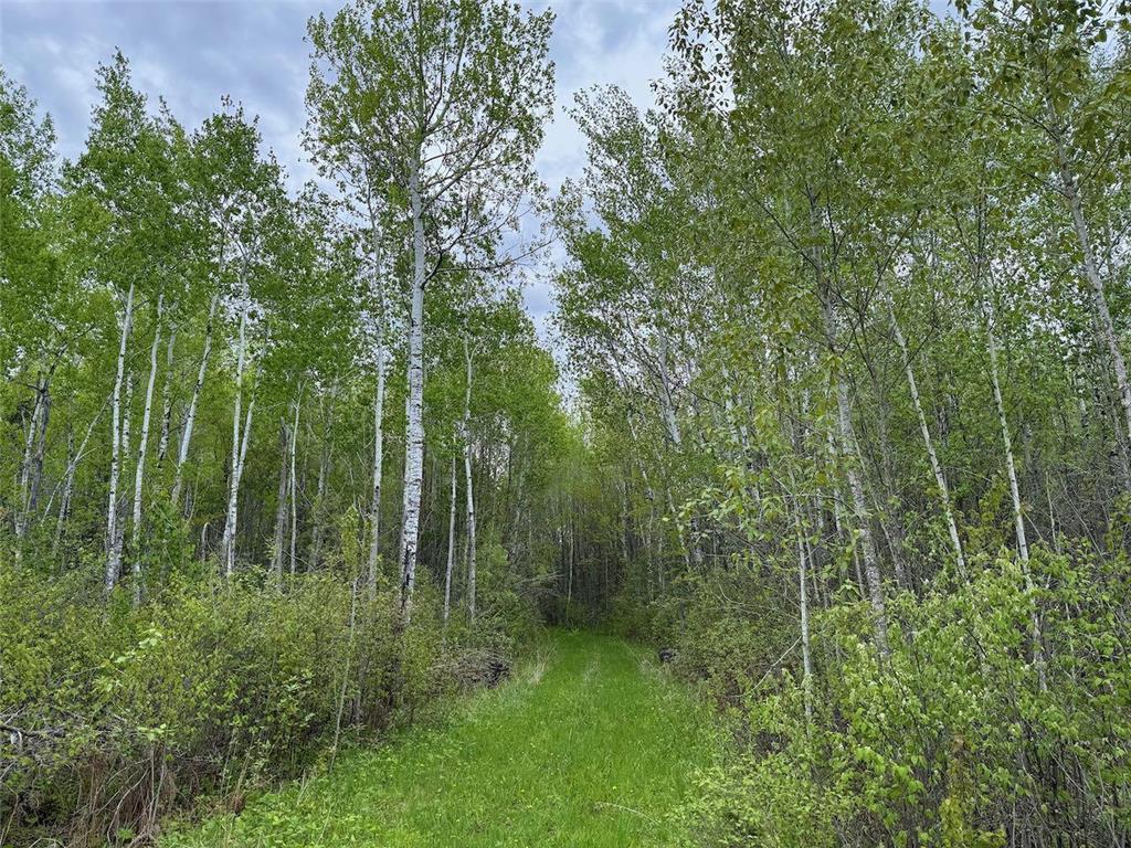 11000 CR64 Mizpah MN 56660 6595664 image1