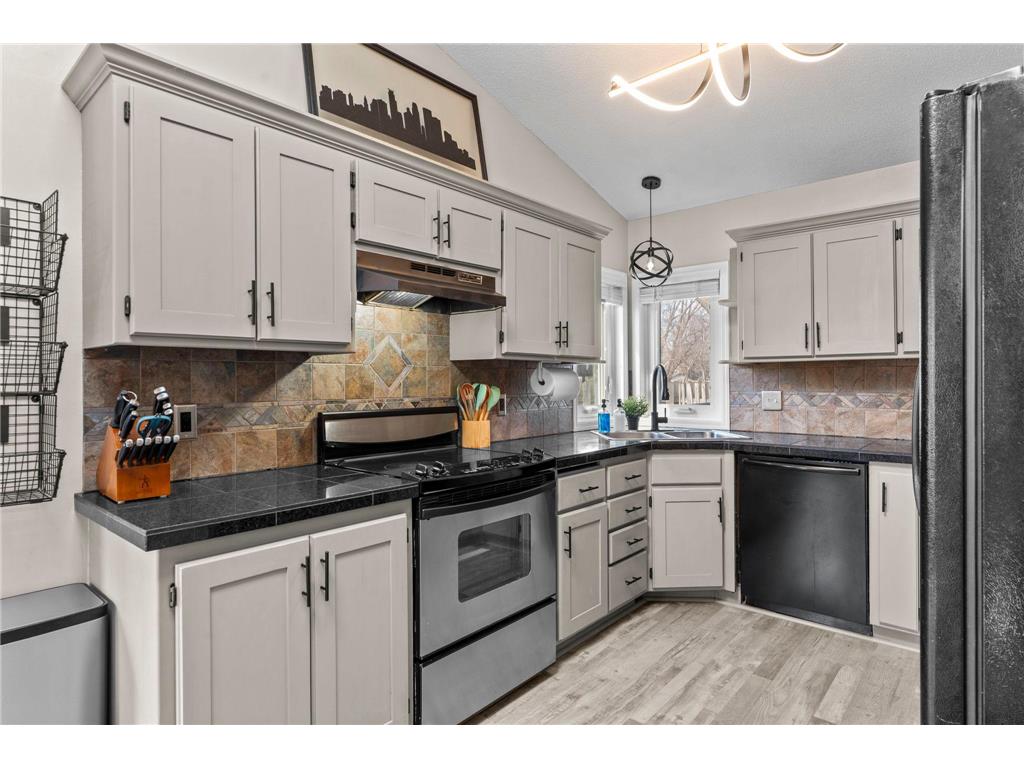 11009 Rhode Island Circle N Champlin MN 55316 7044006 image8