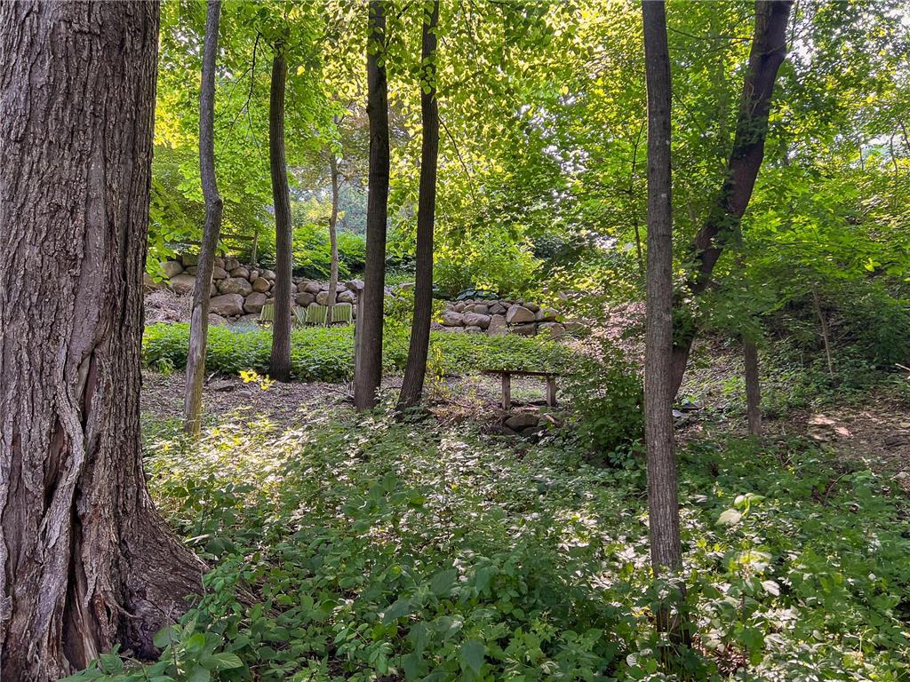 1101 20th Street NW Rochester MN 55901 7061563 image11
