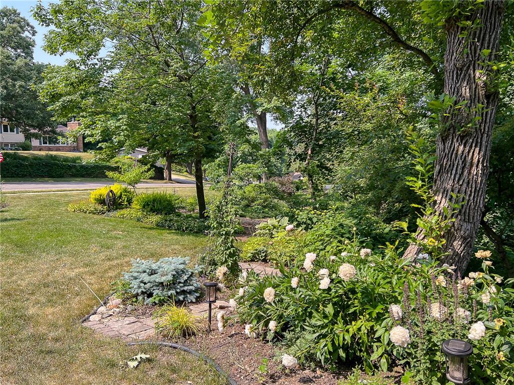 1101 20th Street NW Rochester MN 55901 7061563 image14