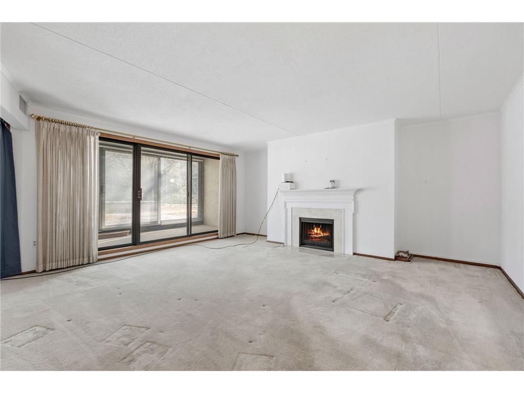 1101 Sibley Memorial Highway #306 Lilydale MN 55118 - Mississippi 6815998 image10