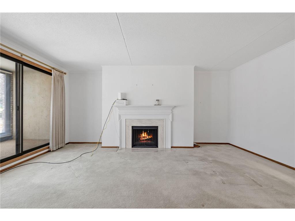 1101 Sibley Memorial Highway #306 Lilydale MN 55118 - Mississippi 6815998 image11