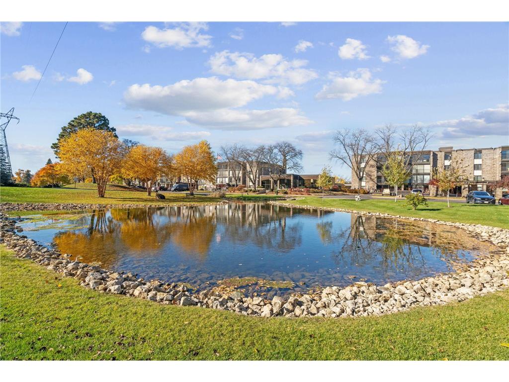 1101 Sibley Memorial Highway #306 Lilydale MN 55118 - Mississippi 6815998 image23