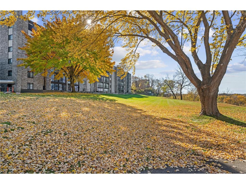 1101 Sibley Memorial Highway #306 Lilydale MN 55118 - Mississippi 6815998 image27