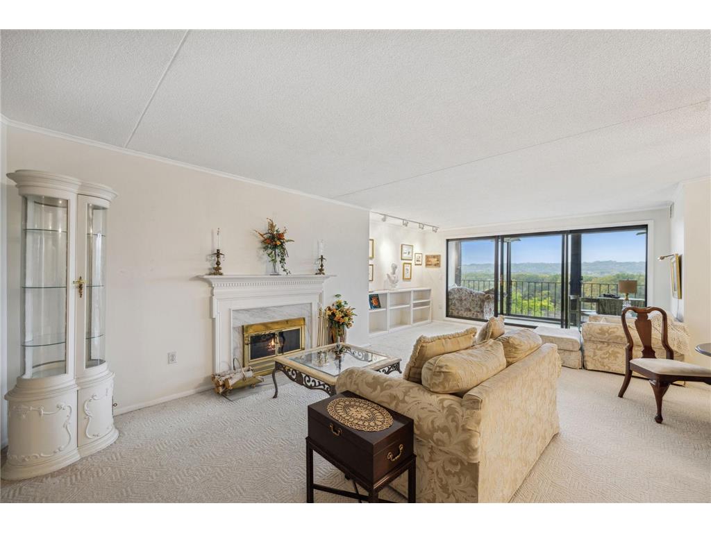 1101 Sibley Memorial Highway #405 Lilydale MN 55118 - Mississippi 6524767 image1