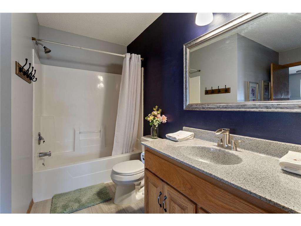 11011 Douglas Lane N Champlin MN 55316 7058544 image10