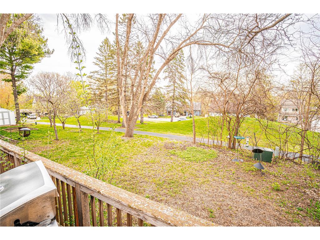 110145 Olin Court Chaska MN 55318 7043247 image32