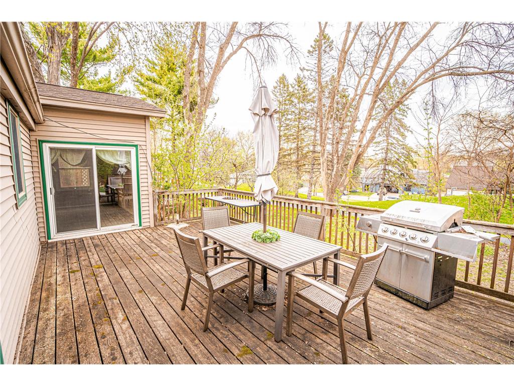 110145 Olin Court Chaska MN 55318 7043247 image33