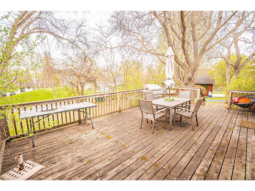 110145 Olin Court Chaska MN 55318 7043247 image34