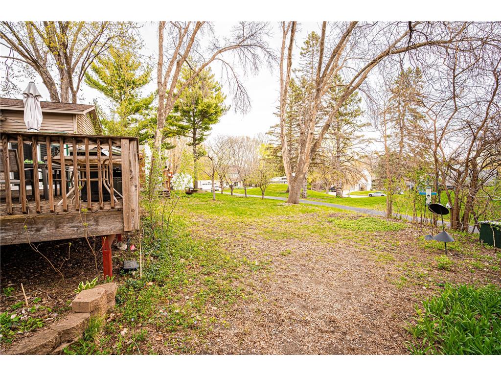 110145 Olin Court Chaska MN 55318 7043247 image38