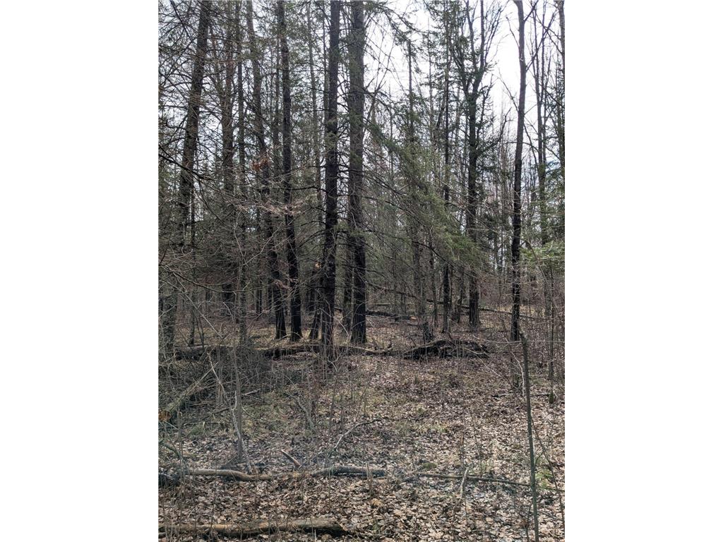 1102 W County Line Road Beseman Twp MN 55787 7061293 image5