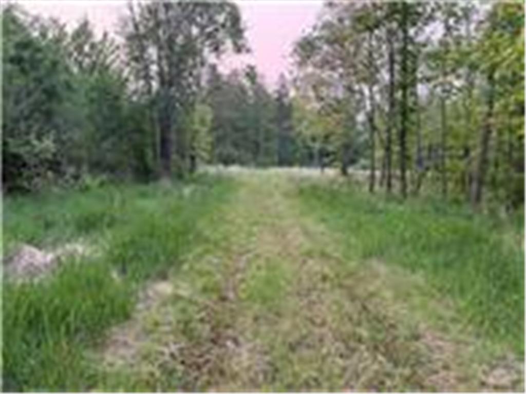 1102 W County Line Road Beseman Twp MN 55787 7061293 image8