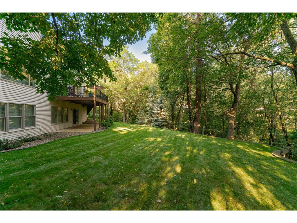 1103 Baihly Heights Lane SW Rochester MN 55902 7055142 image63