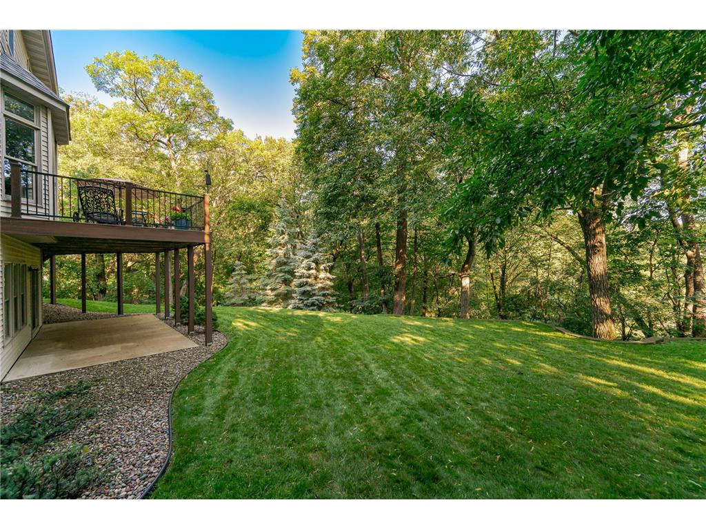 1103 Baihly Heights Lane SW Rochester MN 55902 7055142 image64