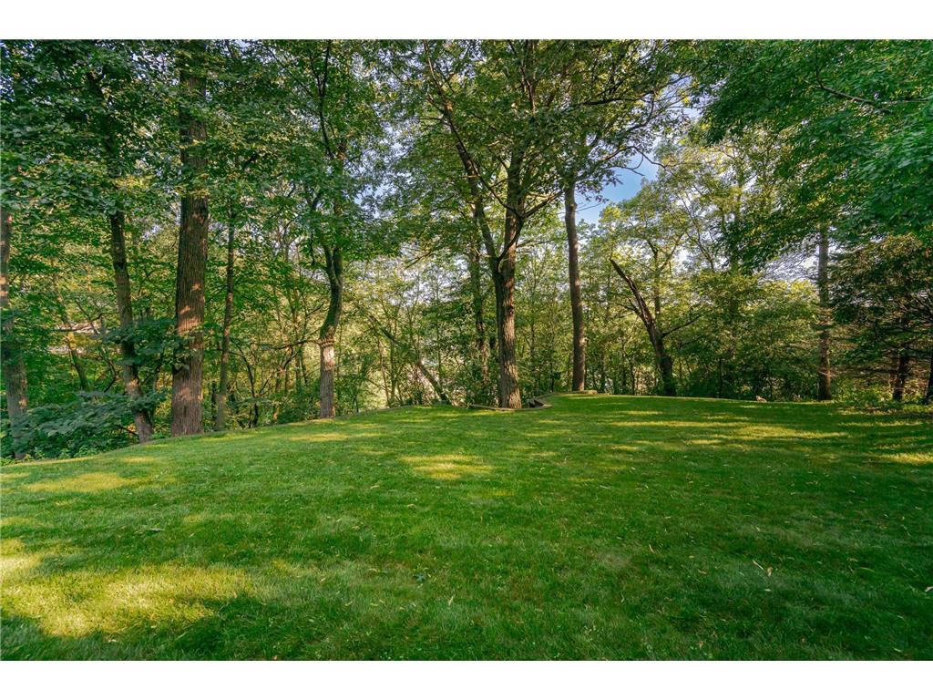 1103 Baihly Heights Lane SW Rochester MN 55902 7055142 image67