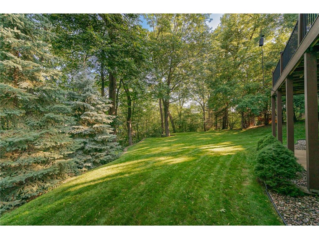 1103 Baihly Heights Lane SW Rochester MN 55902 7055142 image68