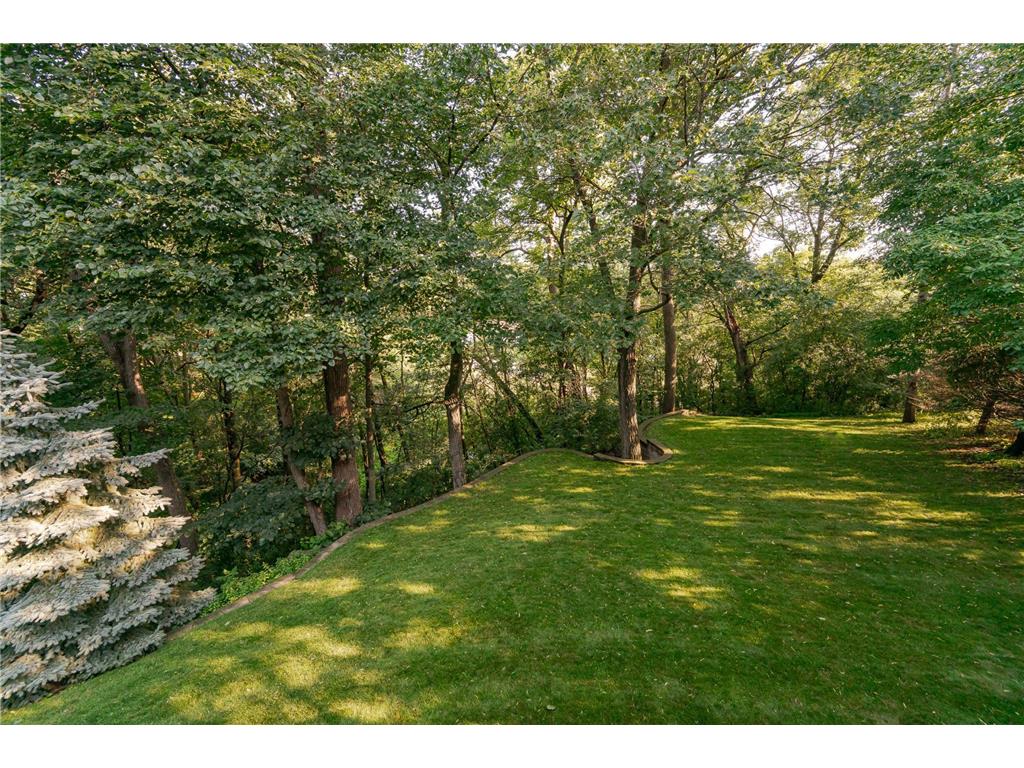 1103 Baihly Heights Lane SW Rochester MN 55902 7055142 image69