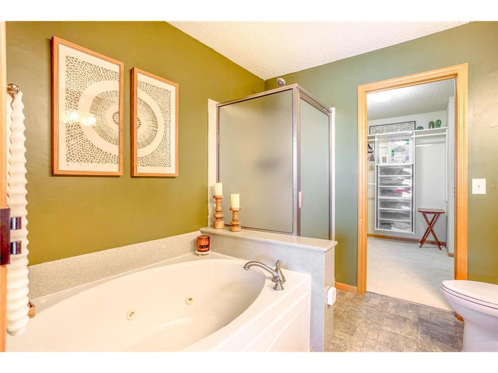 11031 Goodhue Street NE #D Blaine MN 55449 7028905 image19