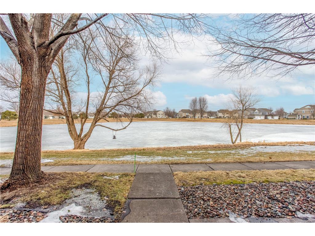 11031 Goodhue Street NE #D Blaine MN 55449 7028905 image2