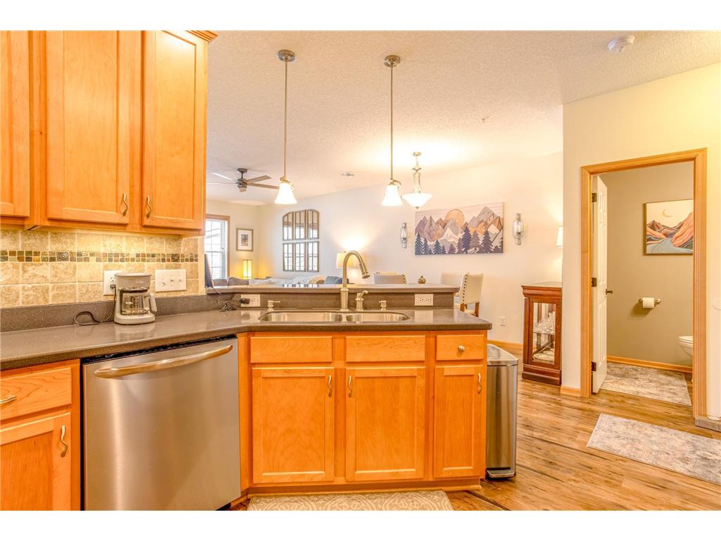 11031 Goodhue Street NE #D Blaine MN 55449 7028905 image9