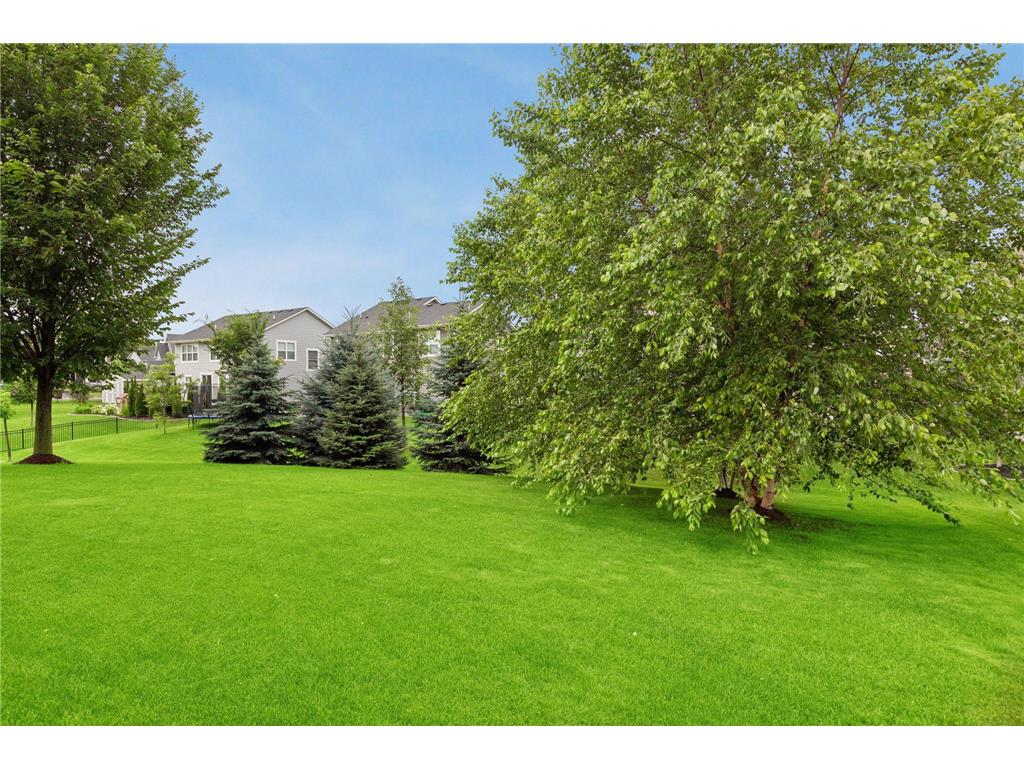 11031 Sundance Woods Boulevard Dayton MN 55369 7106529 image4