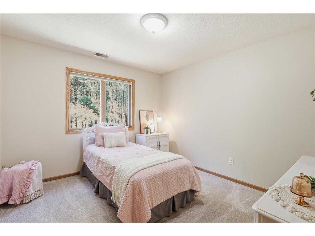 1105 114th Street W Inver Grove Heights MN 55077 7057824 image23
