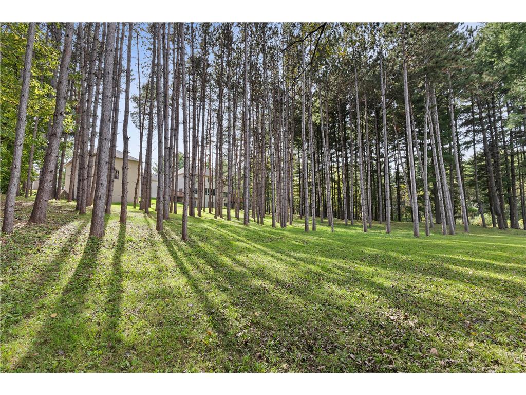 1105 114th Street W Inver Grove Heights MN 55077 7057824 image4