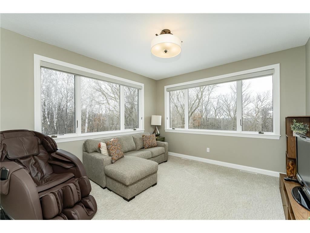 1105 Greystone Lane SW Rochester MN 55902 7024817 image29