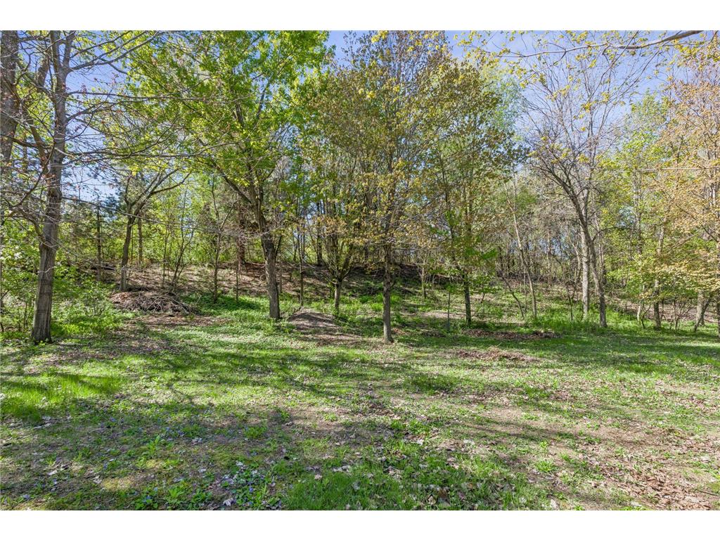 1105 Lakeview Drive Burnsville MN 55337 7076727 image42